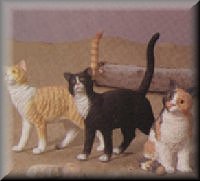 3 cats