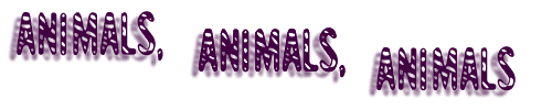 ANIMALS, ANIMALS, ANIMALS