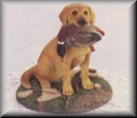 Dog just caught duck