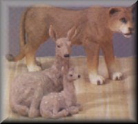 Lioness and deer with fawn