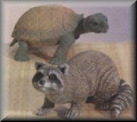Tortoise and Raccoon